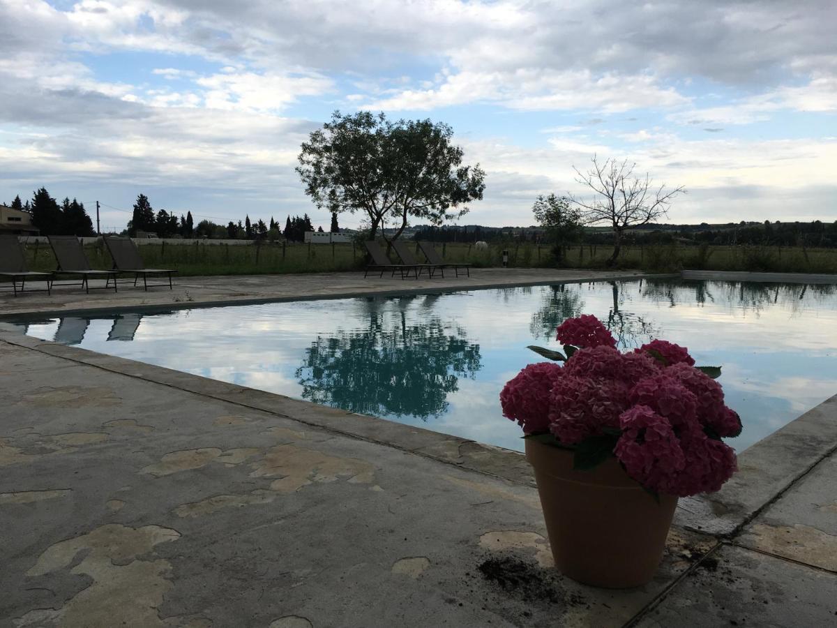 Mas Du Pont De Laute Villa Le Cailar ภายนอก รูปภาพ
